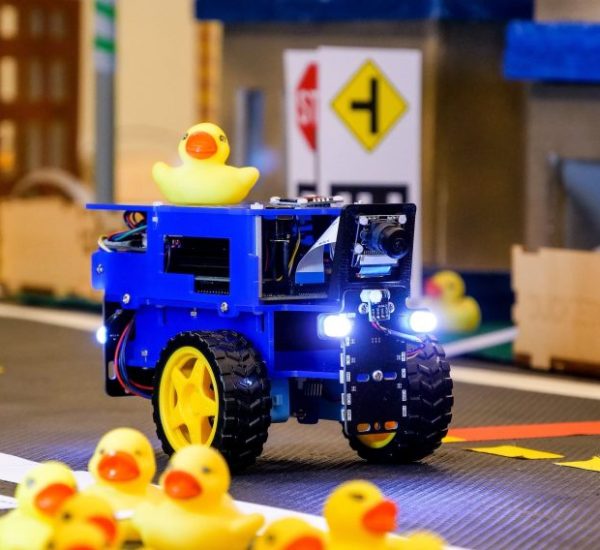 Duckietown 2