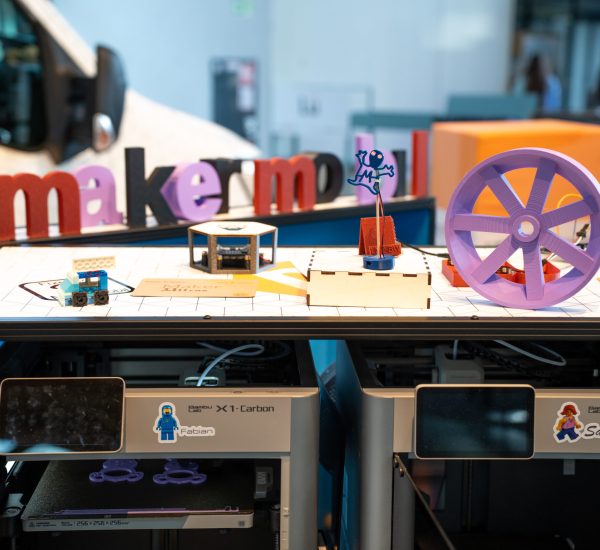3D Modellen 3D-Drucker mit gedruckten 3D Modellen